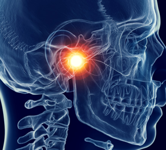 a digital illustration showing the jaw joints